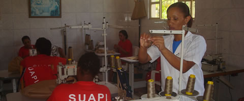 Ana Carolina foi contratada no mês passado para coordenar a produção das sacolas (Divulgação/Seds MG)